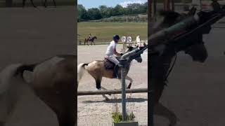 Ozoir jour 1 dans les 5 ans cso cheval equitation horse cavalier [upl. by Stewardson]