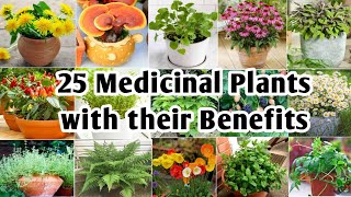 25 Medicinal Plants with their Benefits  Best Medicinal Plants to grow  Plant and Planting [upl. by Groeg]