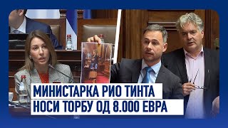 Skupština Srbije  M Aleksić i V Gajić Ministarka Rio Tinta Nosi torbe od 8000 evra [upl. by Hsoj]