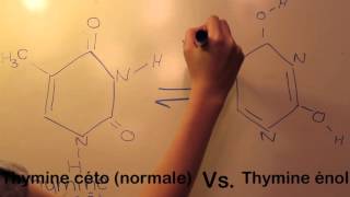 Bienvenue à Biologie4U Épisode 2  Les causes de mutations [upl. by Orelia]