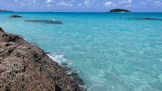 Discover the Most Beautiful White Beaches in the Whitsundays Australia 🏖️✨ shorts [upl. by Avraham949]