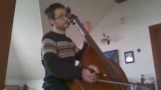 JS Bach Suite no2 Allemande on double bass [upl. by Jamila]