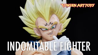 Tonsen arttoys  Indomitable Fighter Set Majin Vegeta Custom Head Pack  Review [upl. by Joellen]