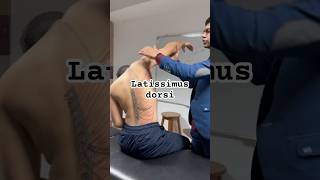 Latissimus dorsi دكتورمحمدعلاء [upl. by Casanova]