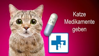 Wie gebe ich meiner Katze Medikamente und Tabletten [upl. by Koeninger418]