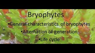 General Characteristics of Bryophytes  ALL ABOUT BIOLOGY  BY JYOTI VERMA [upl. by Alamat931]