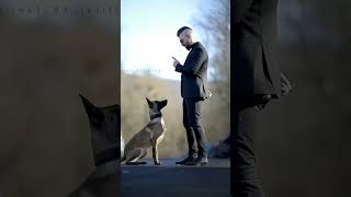 K9 dogs are so interesting 😱🐕k9 dog malinois k9protection dogsoftiktok [upl. by Bunni153]