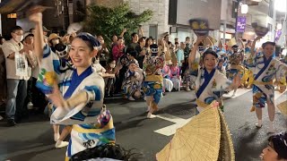 【菊水連】拍手に包まれる中、次々に踊り込む軽快な組踊り！ 菊水連 阿波踊り 祭り 初台阿波踊り 阿波おどり 祭り 20240923月 [upl. by Aurelio]