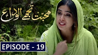 Mohabbat Tujhe Alvida Episode 19 Teaser  Mohabbat Tujhe Alvida Episode 19 Review  Hum Tv Drama [upl. by Nevyar730]