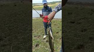 Snakehead Fishing in Bangalore Karnataka India snakehead fishing bangalore Best Fishing Videos [upl. by Verras]