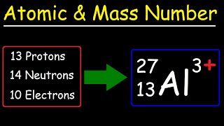 Atomic Number Mass Number and Net Electric Charge [upl. by Deerdre711]