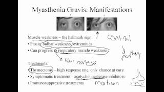 Neurologic Pathophysiology Pain Myasthenia and Guillane Barre [upl. by Lertnek322]