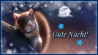 ⭐🐿 Gute Nacht schlaf gut 🐿⭐Grußvideo kostenlos zum Versenden für WhatsApp [upl. by Ycrad]