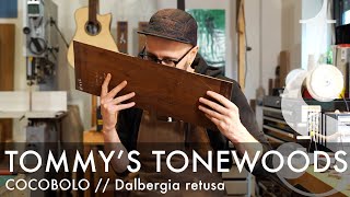 What is COCOBOLO wood  Dalbergia retusa  Tommys Tonewoods [upl. by Ahsiekyt878]