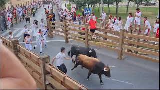 Cuarto Encierro Fiestas de Tudela 2024 [upl. by Akoyn]