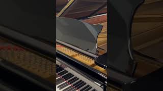 Bennie and the jets  Elton John Piano Cover [upl. by Atiekahs]