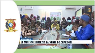 ENVIRONNEMENT  Le Ministre interdit la vente de charbon [upl. by Annej]