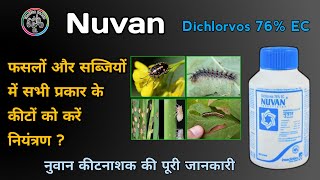 Nuvan Insecticide  Dichlorvos 76 EC सभी प्रकार के कीटों के लिए Insects Control in all crops DDVP [upl. by Max]