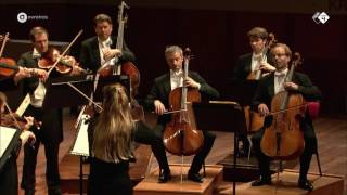 Elgar Serenade for Strings  Concertgebouw Chamber Orchestra  Live concert HD [upl. by Imeka534]