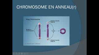 cours anomalies du caryotype [upl. by Atinahs500]