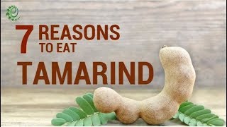 7 Amazing Benefits of Including Tamarind In your Diet  Organic Facts [upl. by Nomyar]