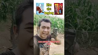 Dilan atau beng beng  shorts short [upl. by Cappella]