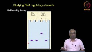 Differential gene expression Part 2 of 4 [upl. by Masuh394]