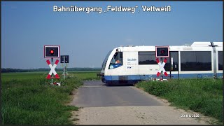 Bahnübergang quotFeldwegquot Vettweiß  Blinklichter und umgeleitete DB RegioZüge auf der Bördebahn [upl. by Samira]