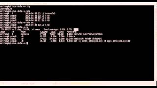 Linux Commands Series tty who what whoami [upl. by Appolonia]