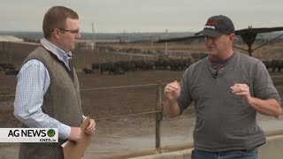 THIS is why the US Heifer Retention Remains Low  Insights from Feedlot Owner [upl. by Zoila]