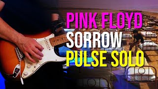 Pink Floyd Sorrow’ Guitar Solo Cover  Pulse Version [upl. by Anerehs]