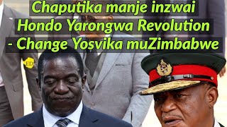 Chaputika manje inzwai Hondo Yarongwa  Revolution  Change Yosvika muZimbabwe 🇿🇼🇿🇼🇿🇼🇿🇼 [upl. by Ahseya]