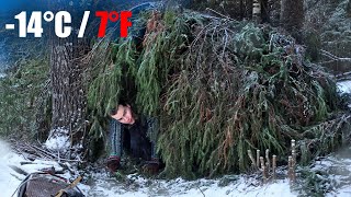 I Found This Shelter in a 14°C WINTER FOREST❄️ Camping in Freezing Finland NordicVentures [upl. by Wales]