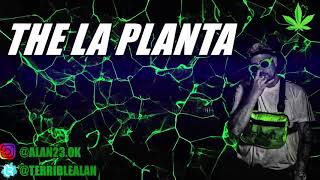 THE LA PLANTA ENGANCHADOS ❌ 2024 [upl. by Sanfourd]