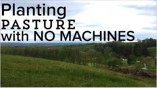 How to Seed a Pasture  Planting a Pasture from Scratch with NO MACHINES [upl. by Richey166]