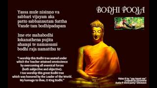 BODHI POOJA [upl. by Zysk]