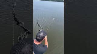 Fish arrow and catch viralvideo [upl. by Atsirc]