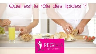 18 Quel est le rôle des lipides [upl. by Idyh]