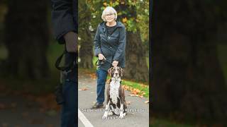 Street Photography  Meet Skipper amp Ursula streetphotography dog canon sonyalpha dogs story [upl. by Dehlia]