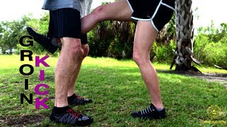 Groin Kick Fantasy—Core JKD Ming Rant On Groin Kick Training [upl. by Annayi]