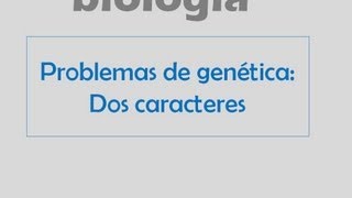 Problemas de genética Herencia de dos caracteres [upl. by Nealy]