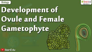 Biology Of Plants  Learn About Ovule and Gametophyte  iKen  iKen Edu  iKen App [upl. by Adelbert]