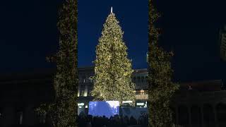 Accensione Albero di Natale 2023 in Piazza Duomo a Milano [upl. by Carver758]