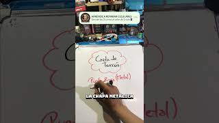 2 MEDICIONES RÁPIDAS PARA DIAGNÓSTICAR LA PLACA DEL CELULAR 📱🔥 shortvideo reparacioncelulares fyp [upl. by Eiramanit]