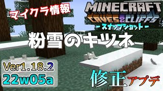 【マイクラ情報】Ver1182 粉雪の中にいるキツネが… などの修正！ Java版マインクラフト・スナップショット 22w05a 今後のアップデート情報 [upl. by Honey]