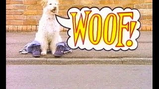 WOOF Episode 1 Season 7 [upl. by Ettelra]