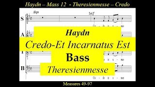 Haydn  Theresienmesse  Mass in B flat major  3b Credo  Bass [upl. by Repmek694]