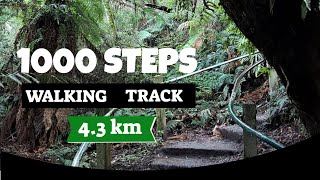 1000 Steps Dandenong Ranges National Park Victoria [upl. by Dorweiler]