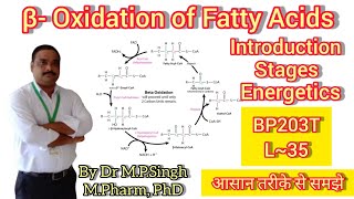 Beta Oxidation of Fatty Acids  Lipid Metabolism  Energetics  Biochemistry  BP203T  L35 [upl. by Sallie]