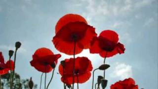 Remembrance 2008 quotDidos LamentLast Postquot [upl. by Gargan]